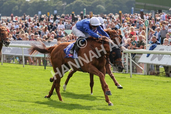 yr18082021r3-66 - Race 3 3.00pm Sky Bet Great Voltigeur Stakes