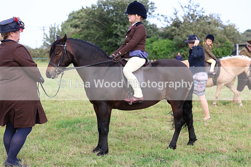 3E7A3586 - Class 2: Lead rein