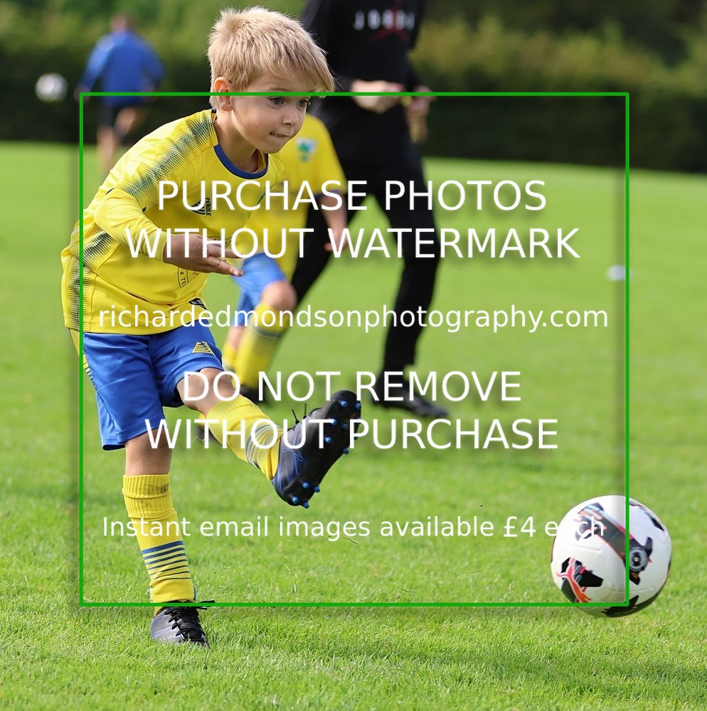 533A7146 - Kendal United U7 vs Milnthorpe U7 (6/9/25)