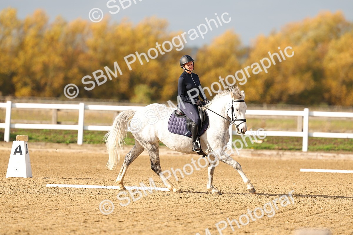SBM_001276 - Class 13-4-9 - DR P3 CT P3 70cm CT PYO