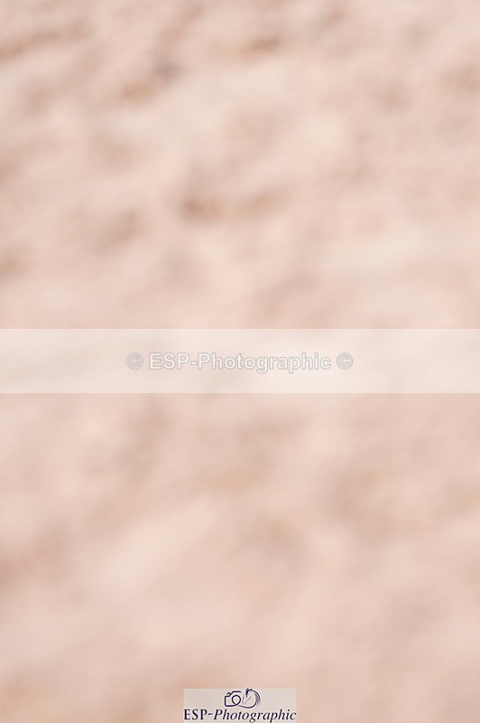 240505A-172240-07346 - Cls 24 Springboard 128cm & 138cm