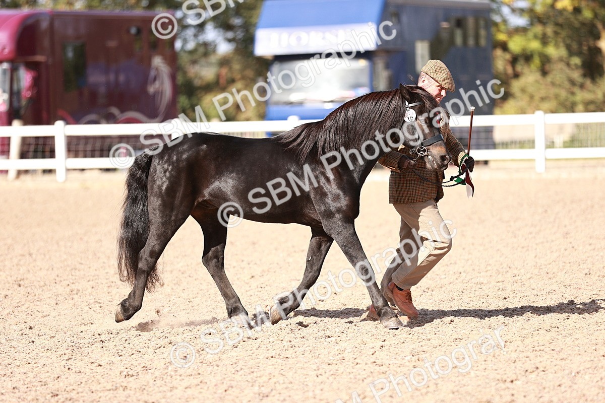SBM_22853 - Class 705 - IH Combination 65+
