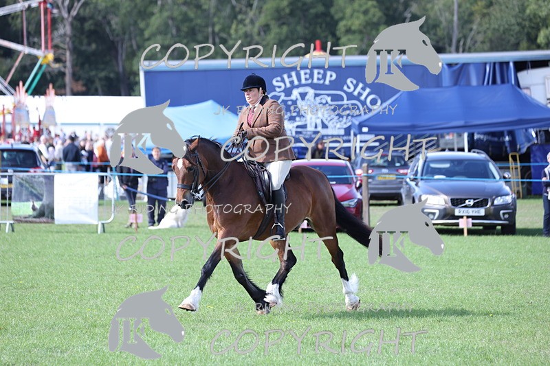 APP_3112 - Class 11 Veterans ridden