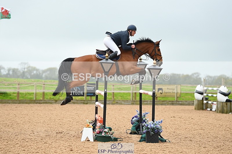 230505A-131604-04182 - Cls 22 Talent Seeker & 7 year old Quali