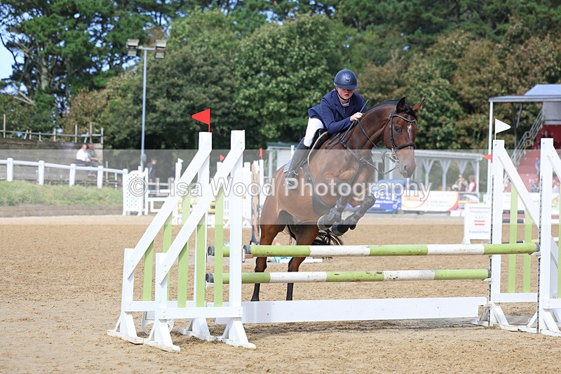3E7A9440 - Class 9: Senior British Novice/90cm open