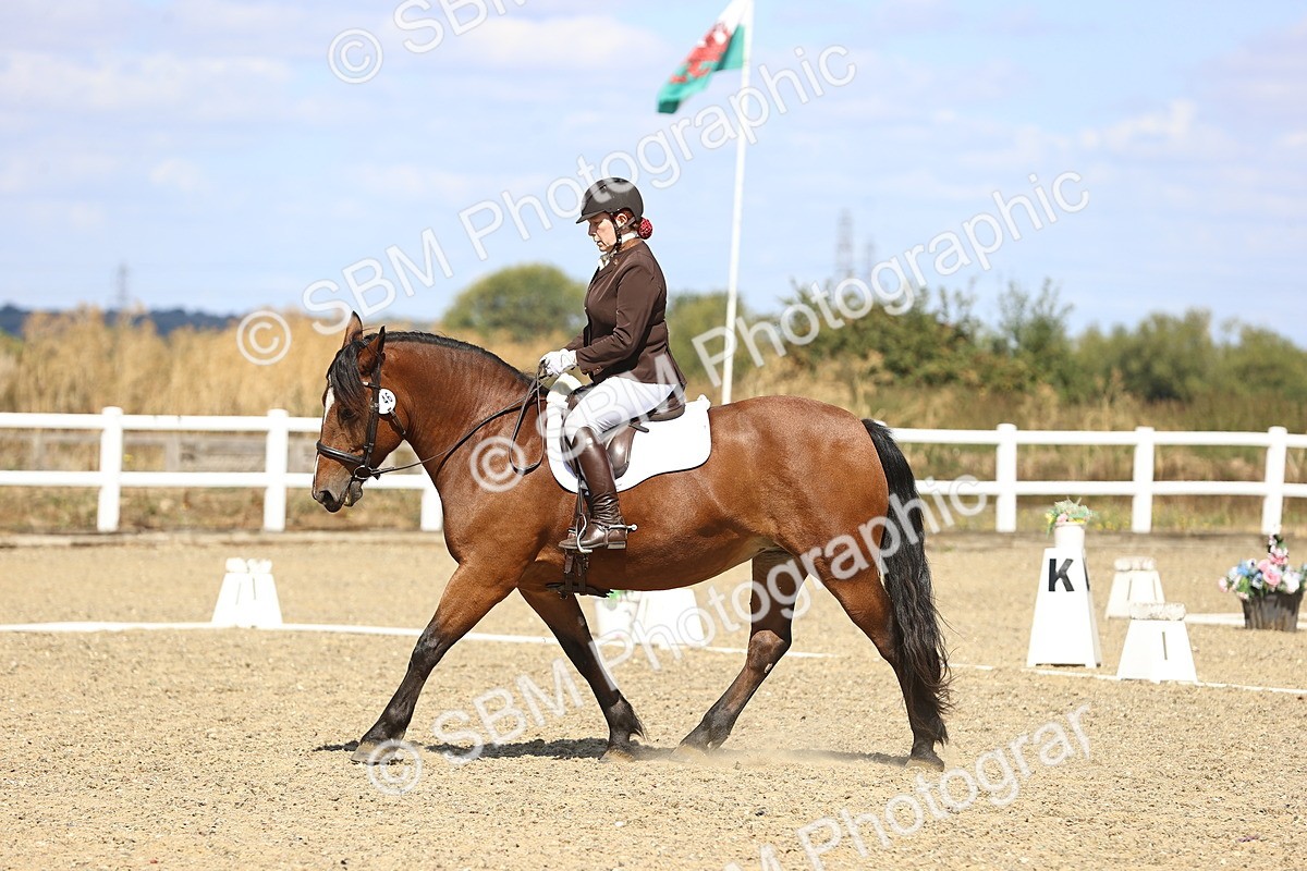 SBM_013952 - Class 2 - P5 Silver 11.20.12.23