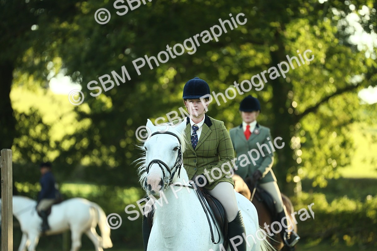 SBM_55534 - S14 - Riding Club Horse