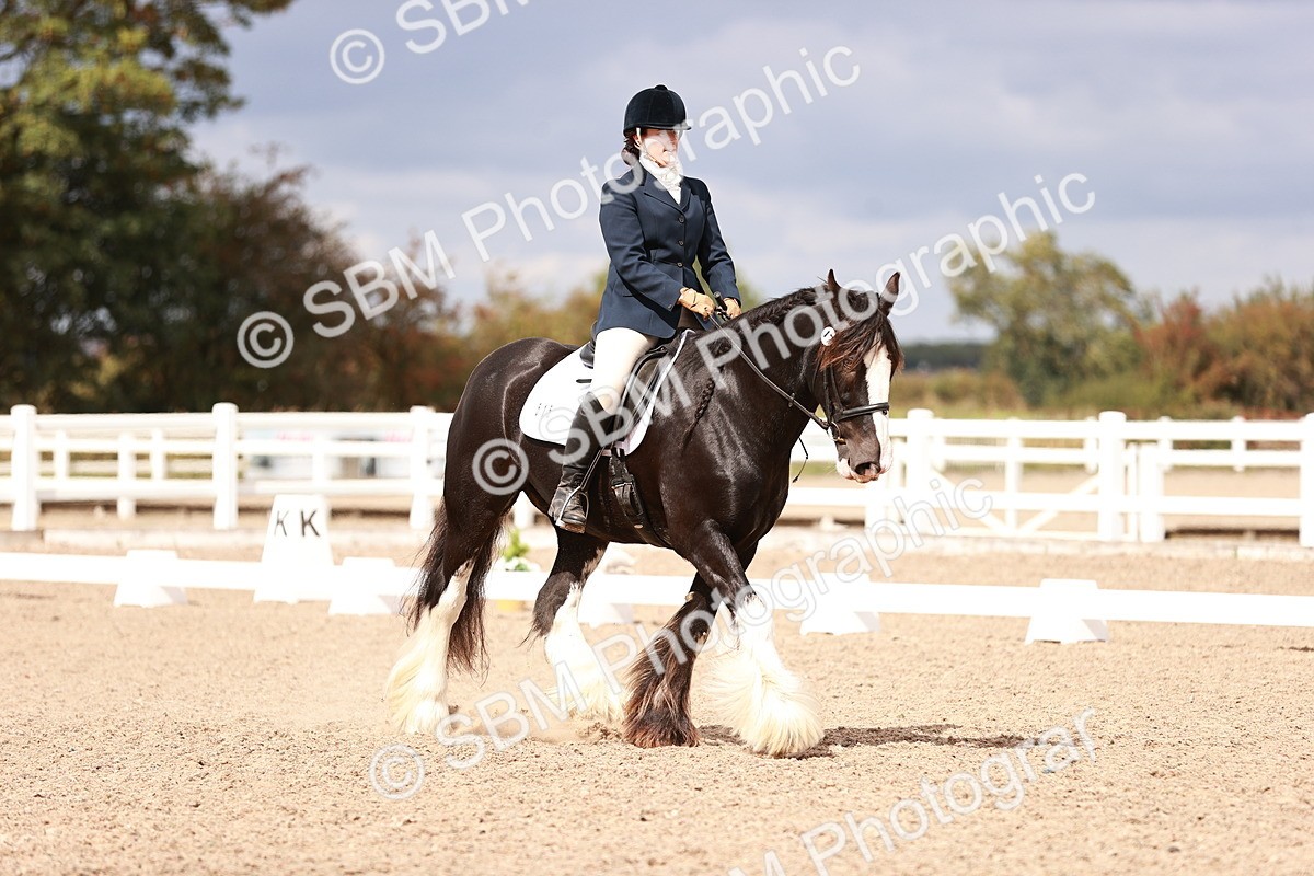 SBM_06218 - Class 37 - Novice 5