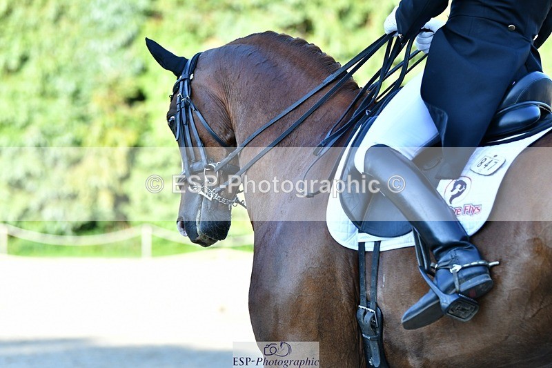 230623-184532-03335 - Cls 11 FEI PSG