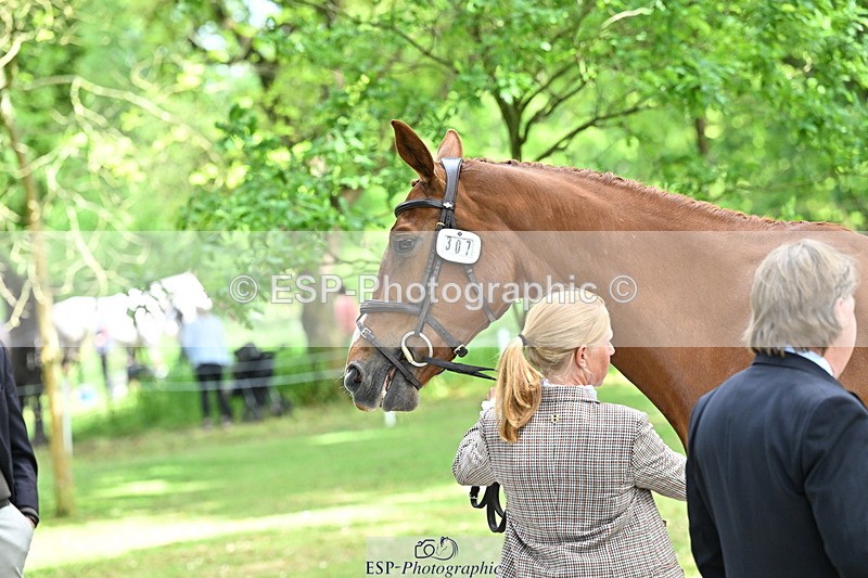 250521A-151857-00418 - B-307-Rosalind.Canter-SILVESTERS.FINESSE