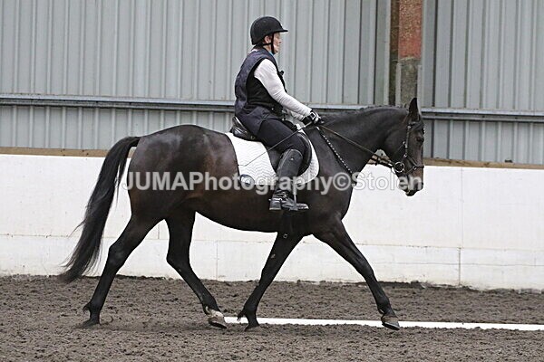 SIAL5388 - CAbin Dressage 5th july 2025