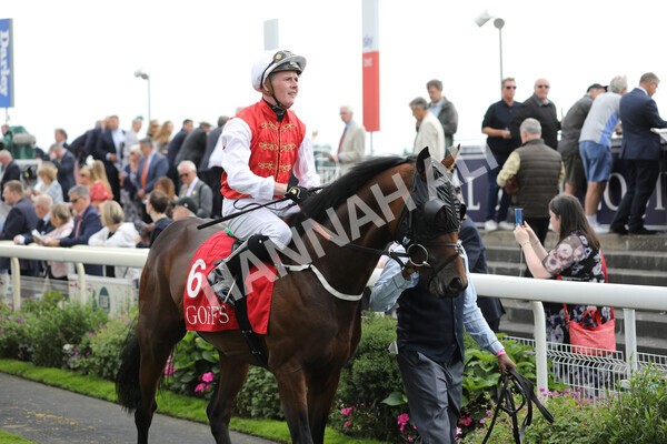 yr18082022r2-27 - Race 2 2.25pm Goffs UK Harry Beeby Premier Yearling Stakes