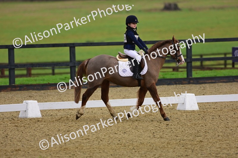 20260125-0654 - Class 9b - Walk Trot Unassisted