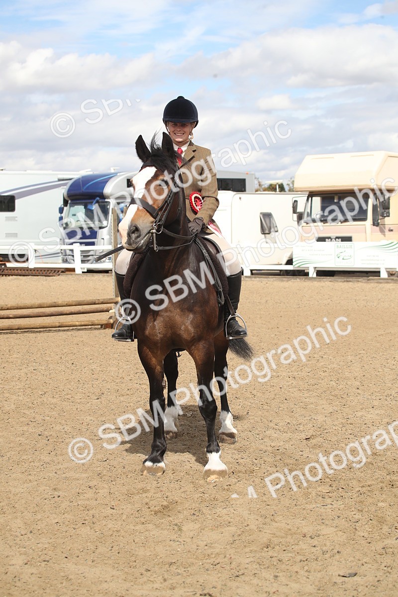 SBM_14596 - Class 505a - M&M Working Veteran - 50cm (15-19)