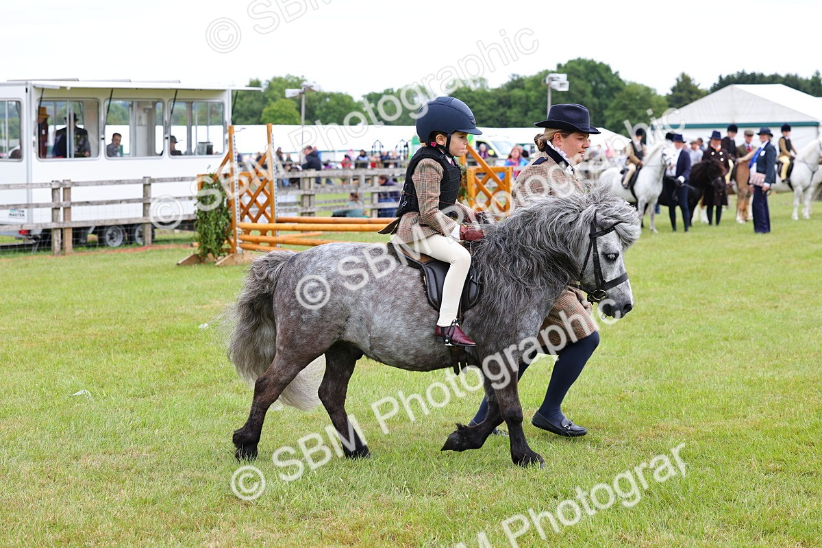 SBM_08114 - Class 42-43 - LIHS BSPS Heritage Working Sports Pony
