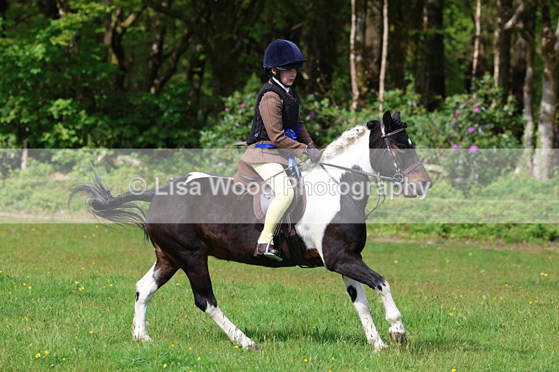3E7A2649 - Working Hunter Championship