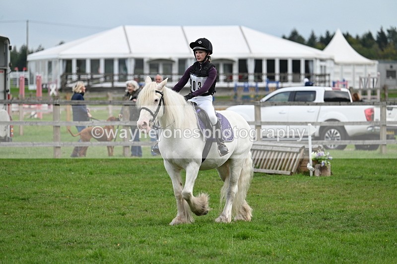 WJ7_4345 - 60cm Time 10:52 to 11:02