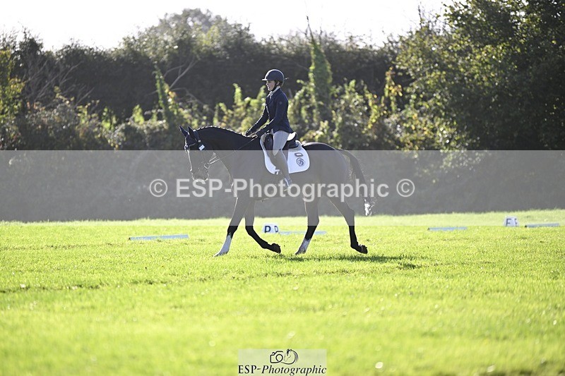 241025-111602-06808 - 365-Charlotte.Cutler-HOLY.STREET