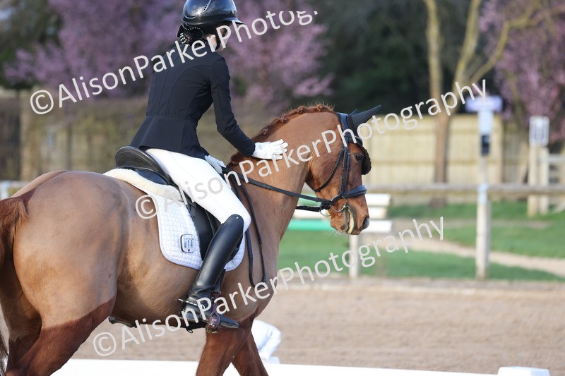 20260301-1335 - Class 14 - FEI Summer