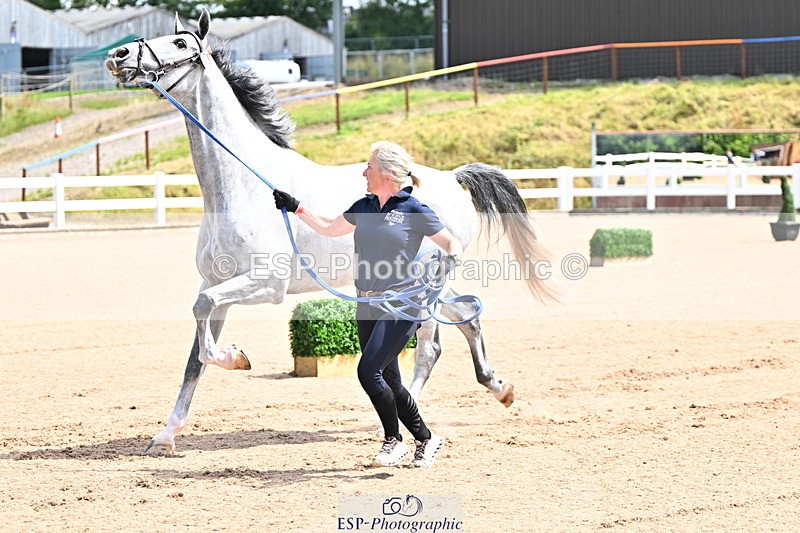 240718A-105236-00915 - Trot Up 11am to 12pm
