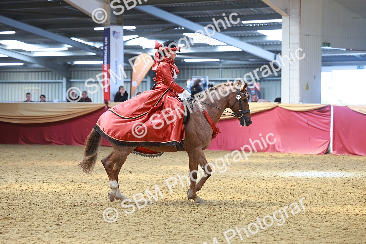 SBM_13783 - Class 105 - Ridden Costume - Astride Junior