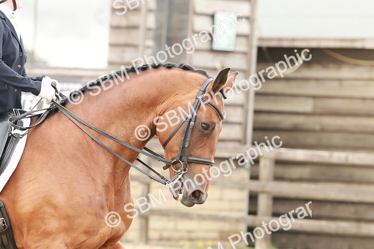 SBM_001781 - Elementary 1-2