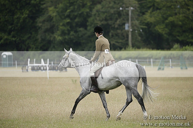 B230619-0891 - Bourne Valley Riding Club Summer Show 23/06/19
