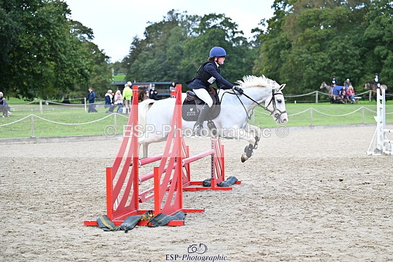 251005A-135048-04187 - Cls 09 Nov 80-85cm