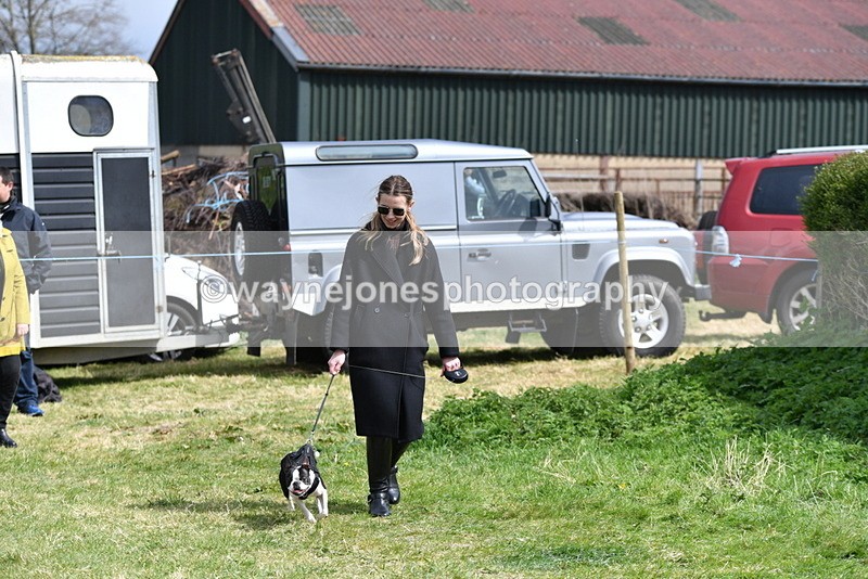 WJ5_0440 - Class 7 Best Terrier