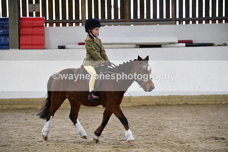 WJ5_6980 - Class 10 Childs Pony