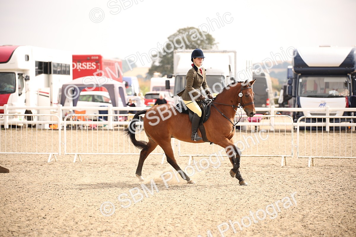 SBM_12903 - Class 406a - Working Veteran 50cm (15-19)