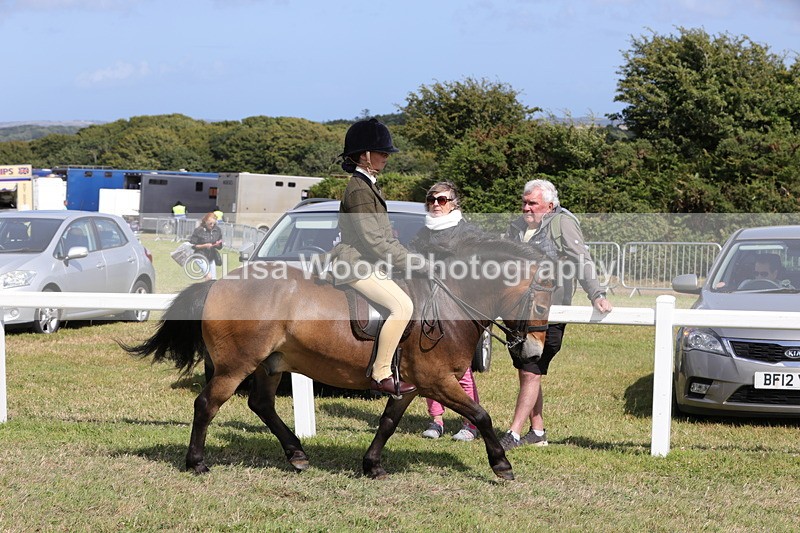 1X9A5575 - Class 39: NPS Dartmoor, Exmoor, Shetland