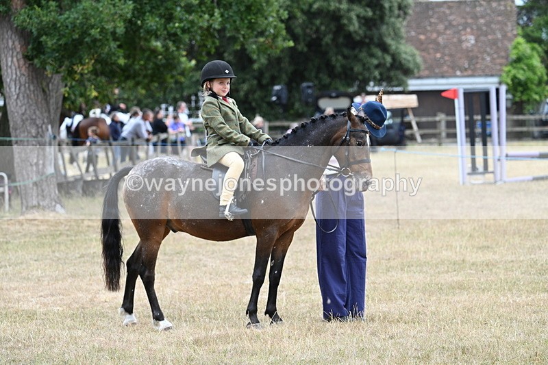 WJ7_0440 - Class 6 Ridden Mountain and Moorland