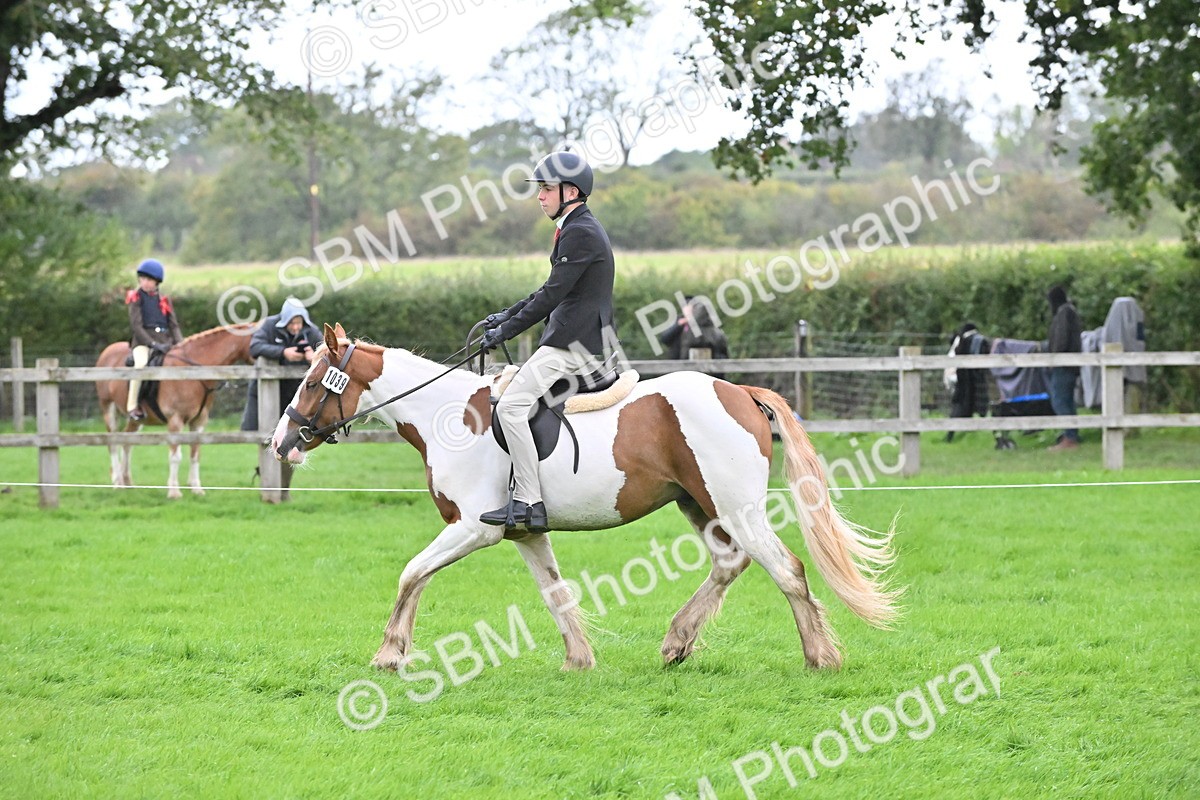 SBM_42915 - S12 - Family Horse & Pony