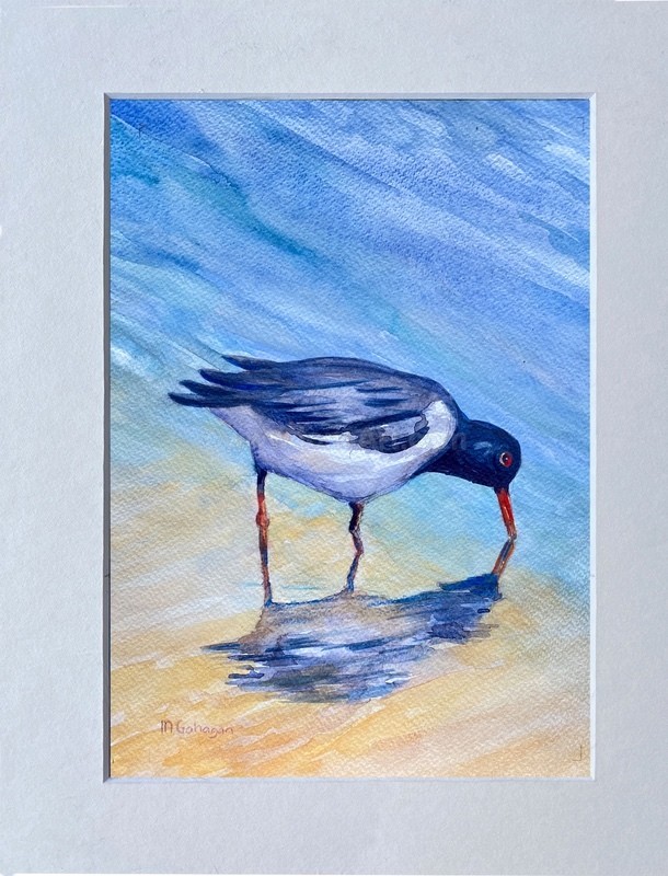 Early Morning Catch - Widlife/Nature