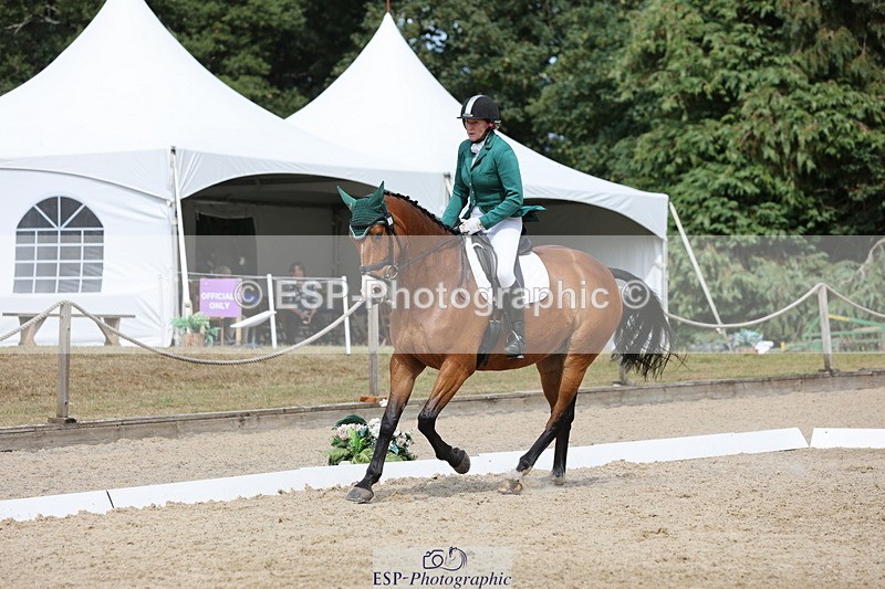 250718A-153101-02593 - 152-Tracy.OKennedy-Wylye.Harlequin