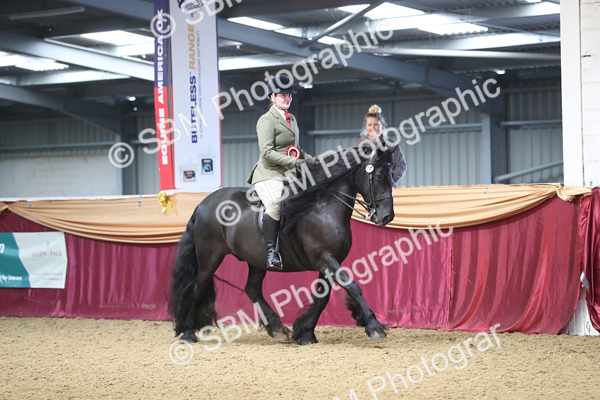 SBM_10469 - Class 102 Equitation (best rider) Adult