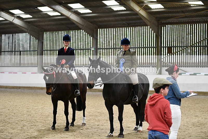 WJ5_8108 - Class 13 Ridden Part Breed