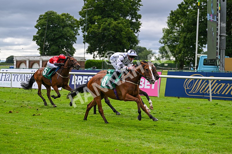 030724-Race 5-Petra Celera-0875 - Race 5