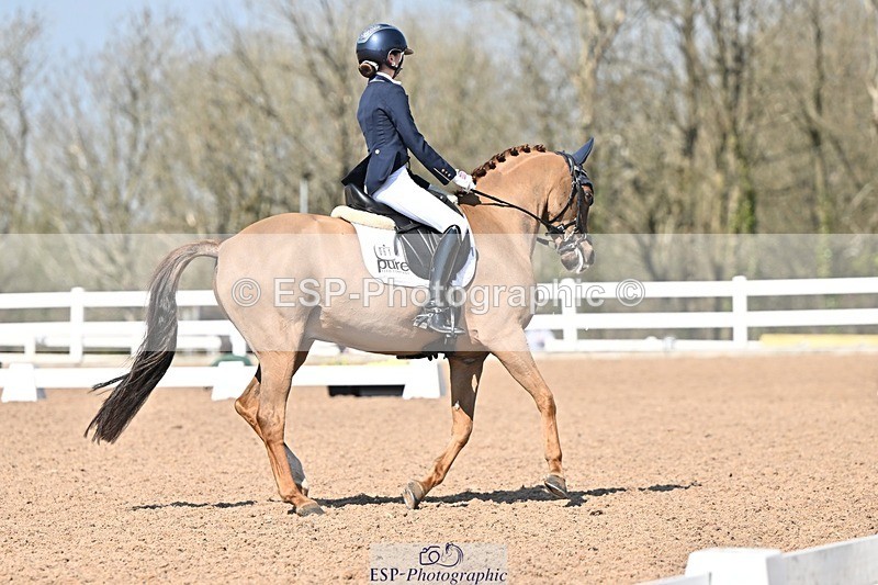 250404-134318-06454 - 061-Violet.Hawkins-DZL.Royal.Sunrise