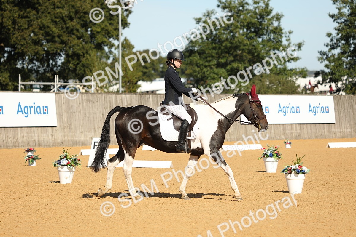 SBM_18747 - D10 - Small Tour Championship - Prelim 2