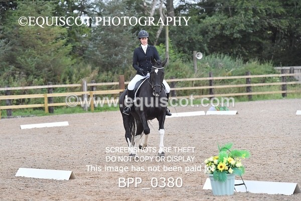 BPP_0380 - ELEM 6 & 4