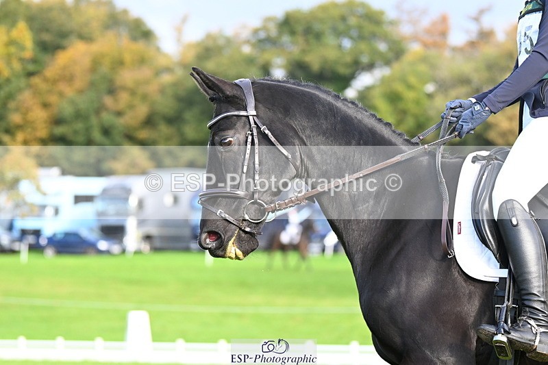 251023A-102105-02450 - G-505-Sarah.Amos