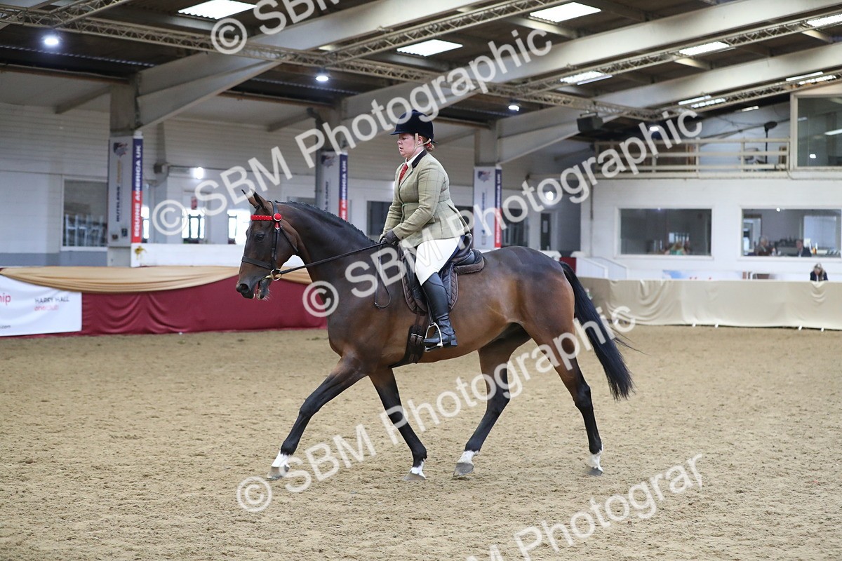 SBM_12339 - Class 108 Ridden Retired Racehorse- Pre Judging