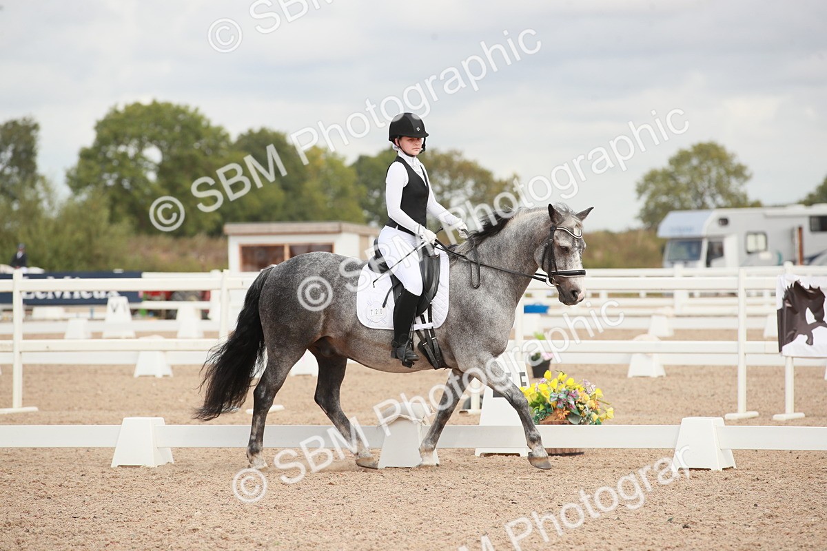 SBM_03928 - Class 31 - Prelim 1