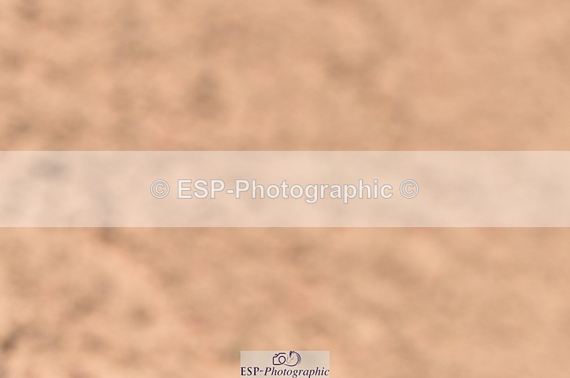 230810A-112322-00857 - Cls 9 Foxhunter