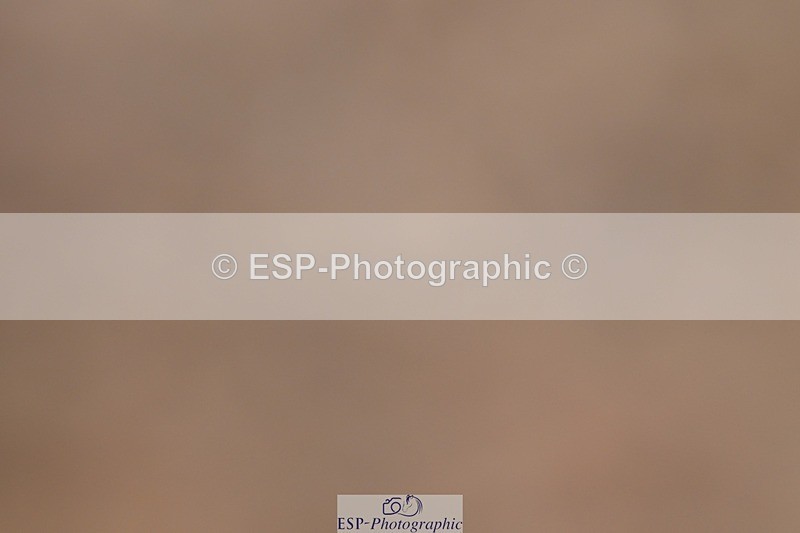 250621-170236-12237 - Cls 35 - Adv Medium 5, Start to 17.20