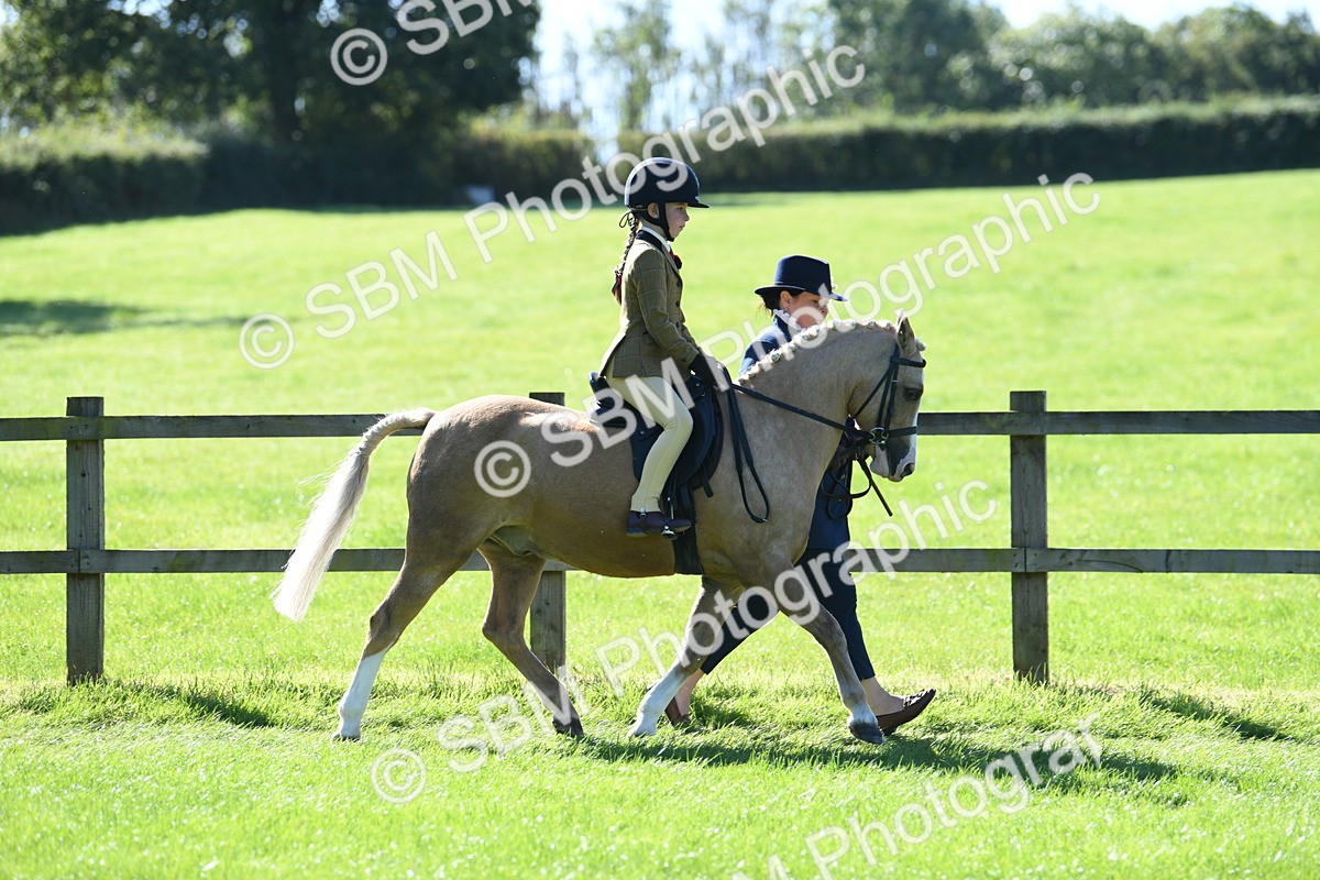 SBM_39539 - S18 - Novice & Newcomers Lead Rein Pony