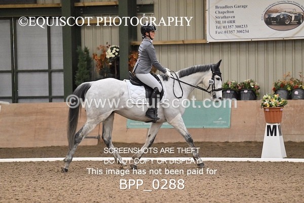 BPP_0288 - 8 - S QUINN