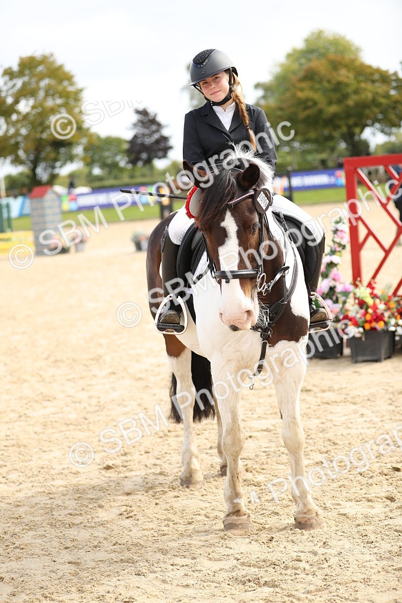 SBM_40931 - Supreme Championship 50cm 60cm